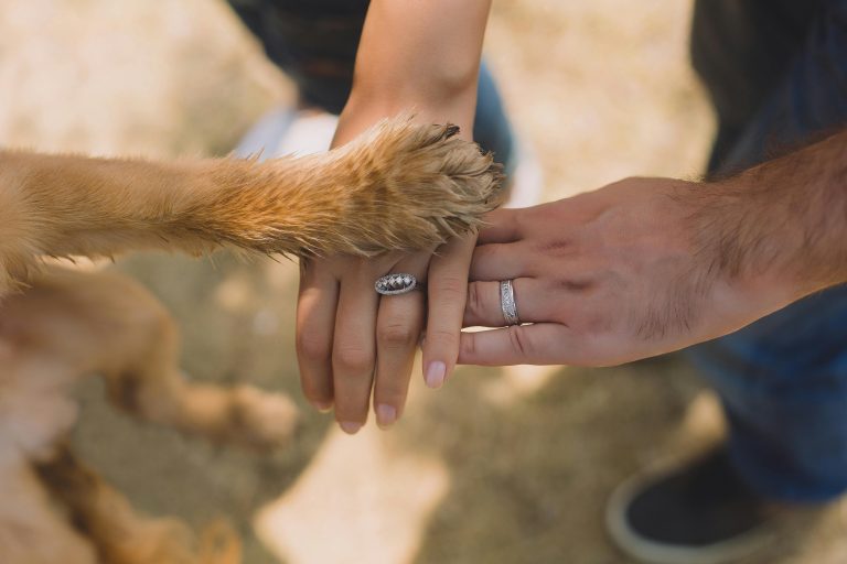 A close-up of hands and a dog's paw displaying unity and love outdoors